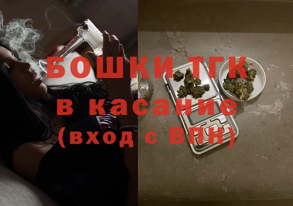 крисы Алексин