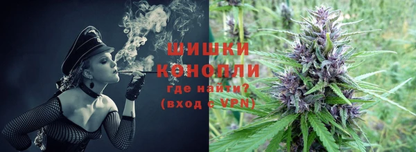 гидра Михайловск