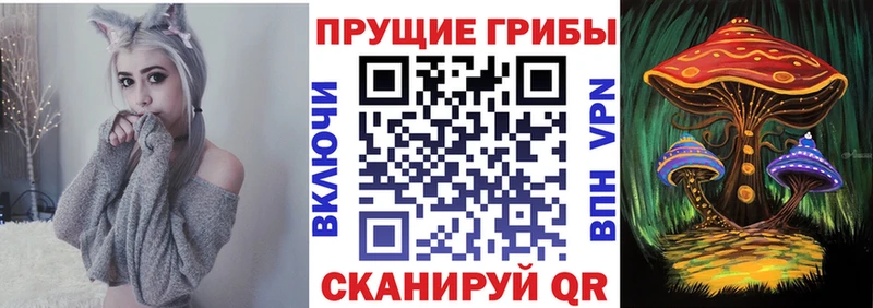 Псилоцибиновые грибы Psilocybine cubensis  Остров 